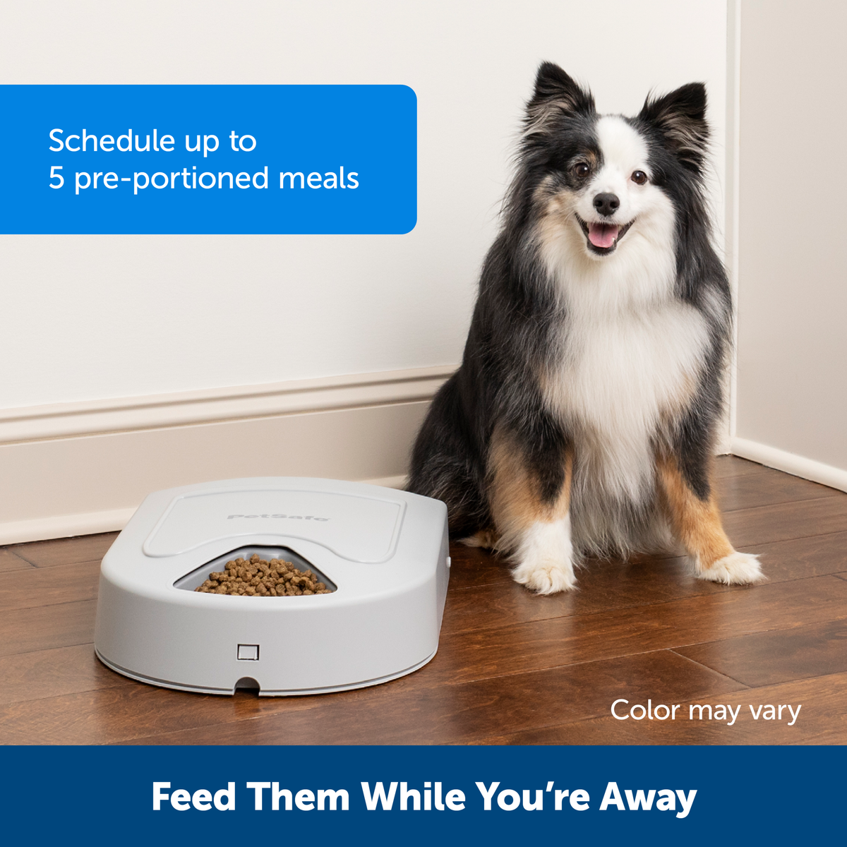 Discover 5 Meal Pet Feeder PetSafe Canada