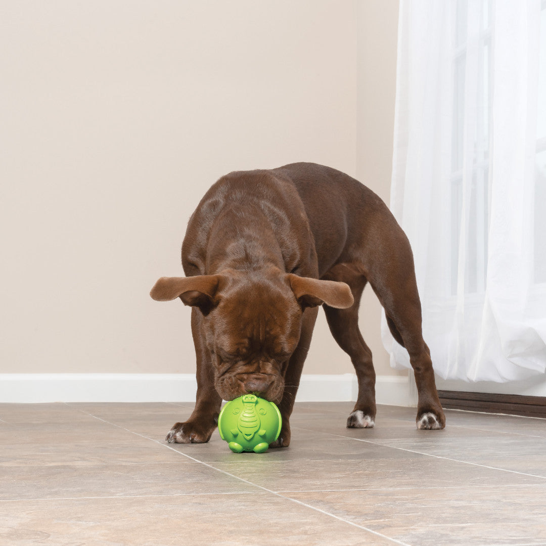 PetSafe Busy Buddy Elephunk Dog Chew Toy - Treat Dispenser