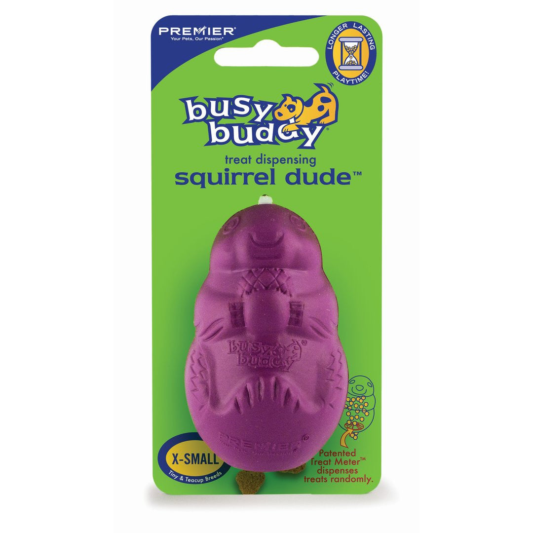 Busy Buddy Squirrel Dude Petsafe Canada