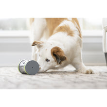 Load image into Gallery viewer, Kibble Chase™ Roaming Treat Dispenser
