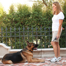 Load image into Gallery viewer, Remote Vibration Trainer PLUS Add-A-Dog® Extra Receiver Collar
