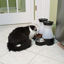 Load image into Gallery viewer, Healthy Pet Water Station™
