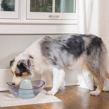 Load image into Gallery viewer, Drinkwell® Sedona Pet Fountain
