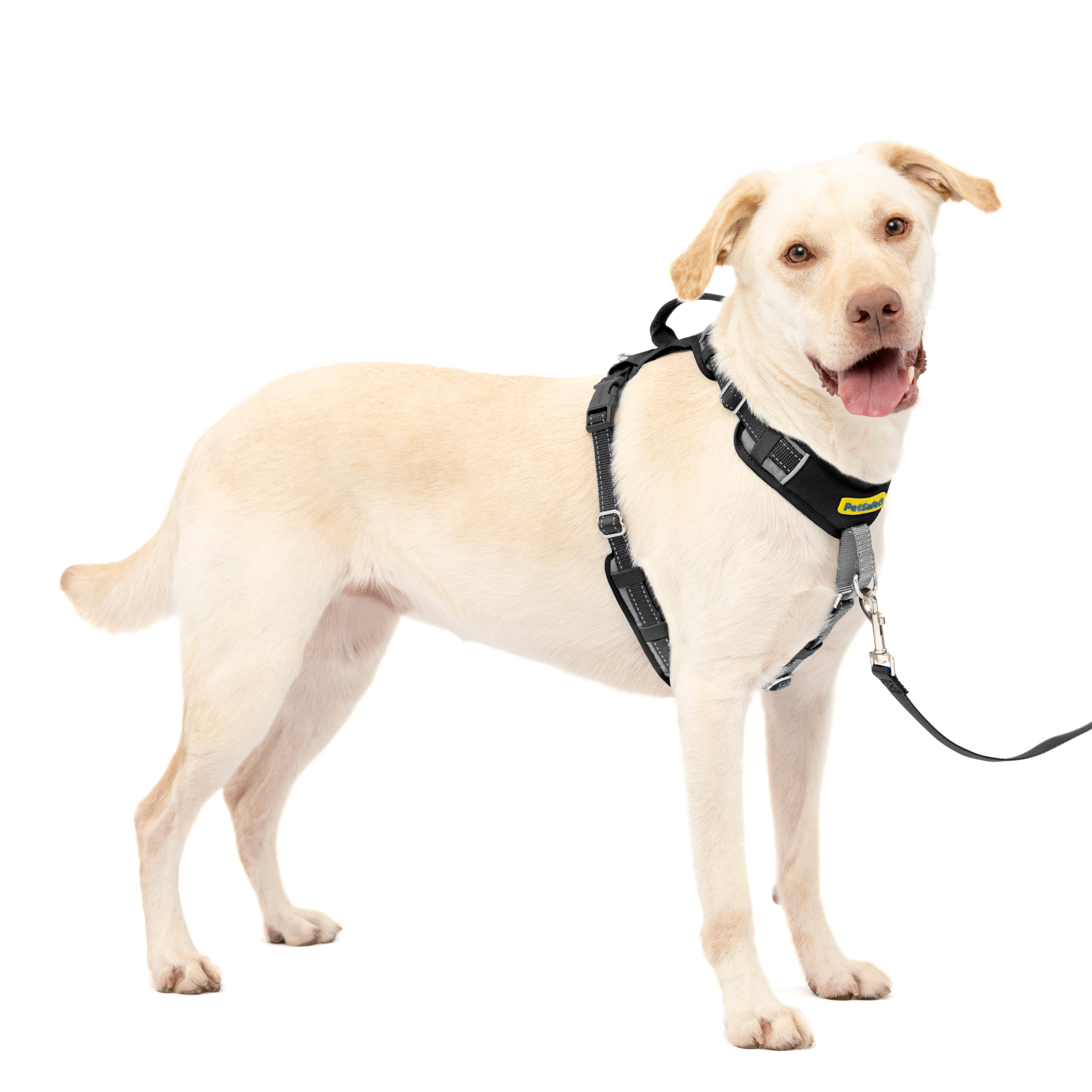 Easy Walk® Comfort No-Pull Dog Harness