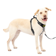 Load image into Gallery viewer, Easy Walk® Comfort No-Pull Dog Harness
