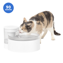 Load image into Gallery viewer, Outlast™ 90 oz Pumpless Pet Fountain
