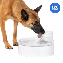 Load image into Gallery viewer, Outlast™ 128 oz Pumpless Pet Fountain
