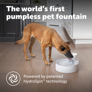 Outlast™ 128 oz Pumpless Pet Fountain