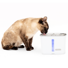 Load image into Gallery viewer, Viva™ Pet Fountain, 64 oz, Stainless Steel Tray
