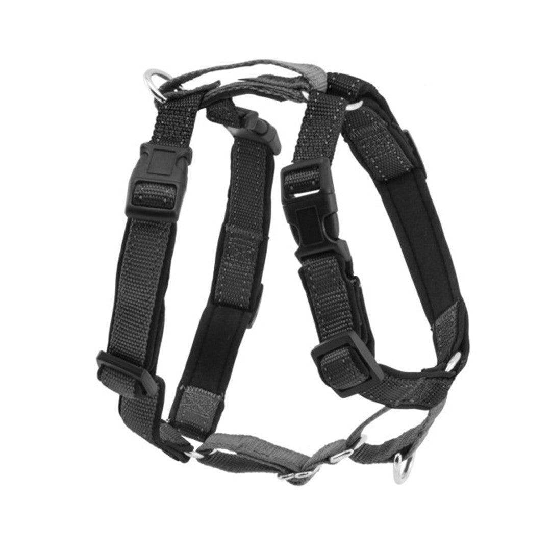3 in 1™ Harness and Car Restraint