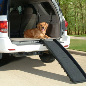 Rampe pliable pour chiens Happy Ride™ de PetSafe®