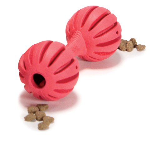 PetSafe Busy Buddy Waggle Dog Toy, Small