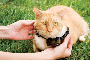 Collier-récepteur supplémentaire pour Clôture anti-fugue de luxe avec fil pour chats In-Ground Cat Fence™