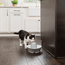 Load image into Gallery viewer, Streamside Ceramic Pet Fountain
