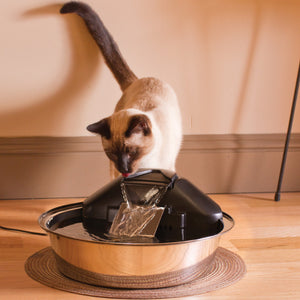 Fontaine pour animaux de compagnie Drinkwell® Zen