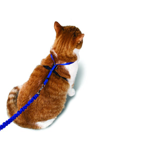 Easy Walk® Cat Harness & Lead