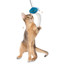 Load image into Gallery viewer, Funkitty™ Doorway Dangli™ Cat Toy
