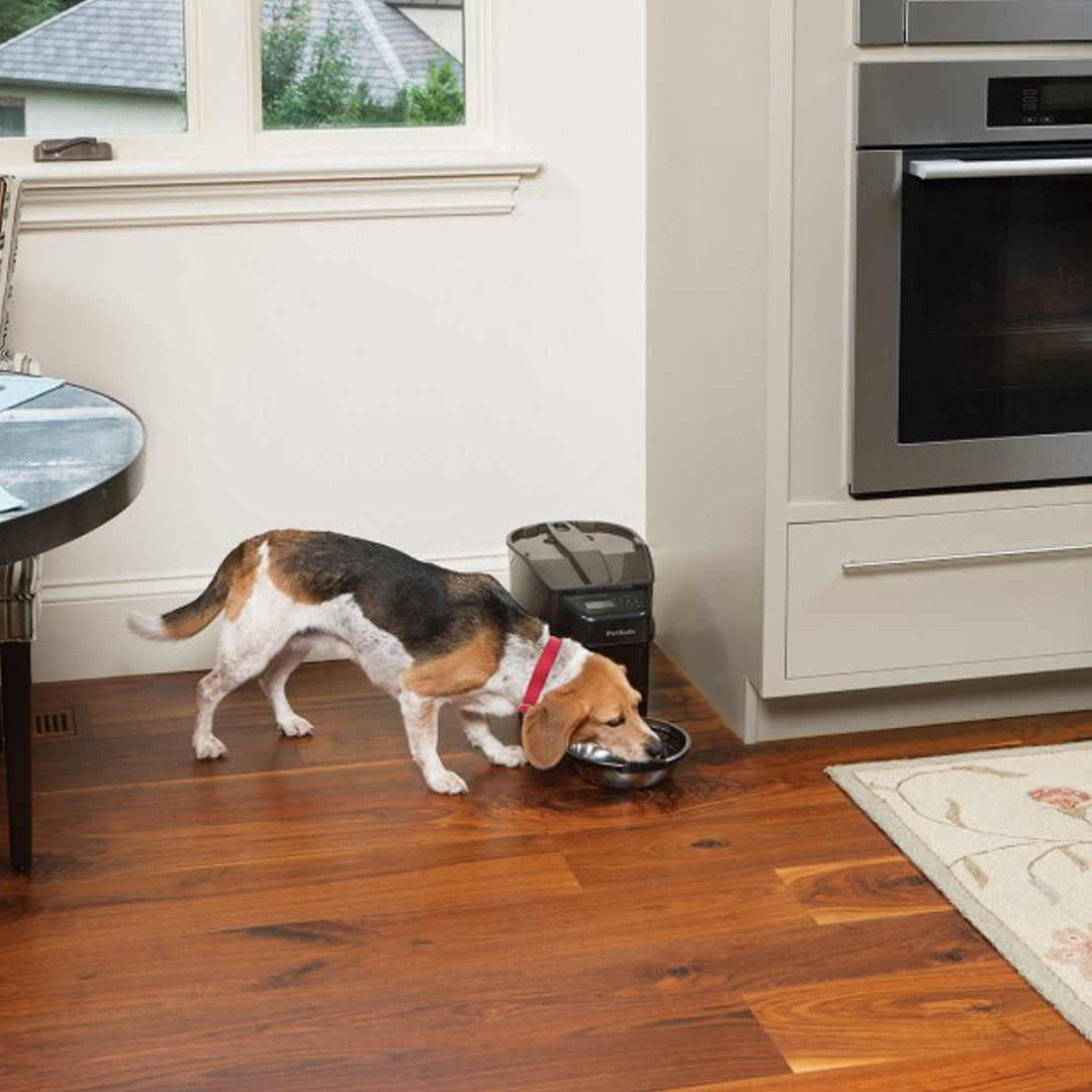 Support & Manuals: Healthy Pet Simply Feed™ Programmable Digital