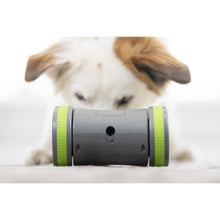 Load image into Gallery viewer, Kibble Chase™ Roaming Treat Dispenser
