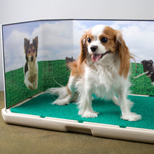 Load image into Gallery viewer, Piddle Place Pet Potty Protective Guard
