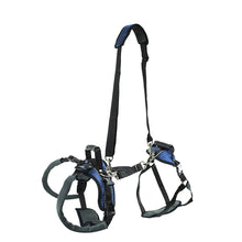 Load image into Gallery viewer, CareLift™ Rear Support Harness
